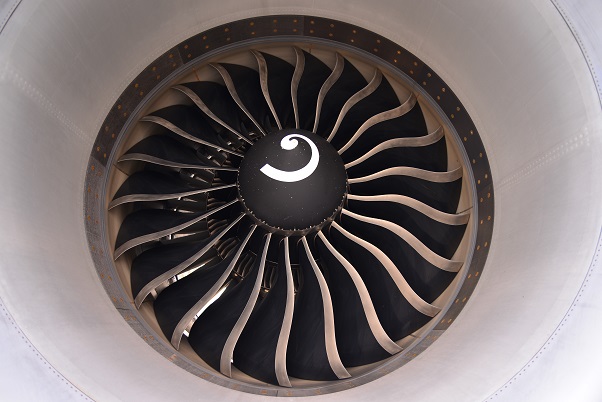 Fan blades of a turbofan engine