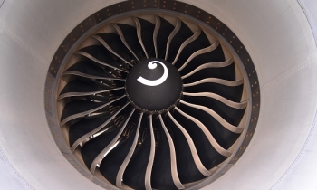 Fan blades of a turbofan engine